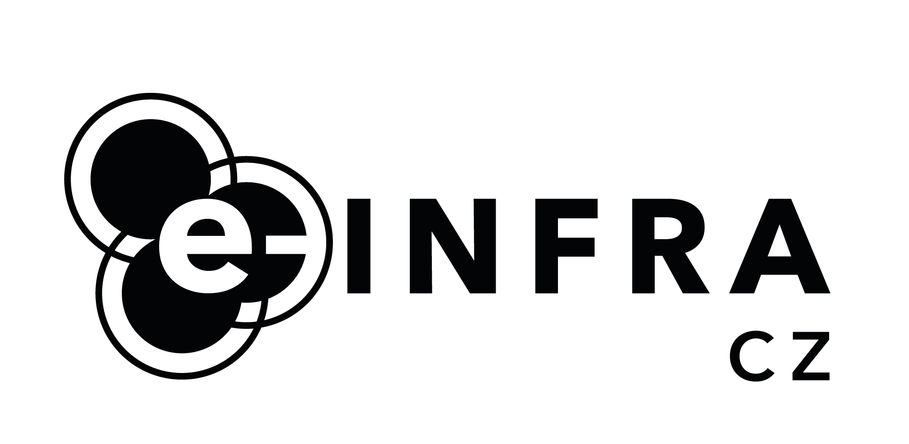 Výpočetní služby e-INFRA CZ za rok 2025